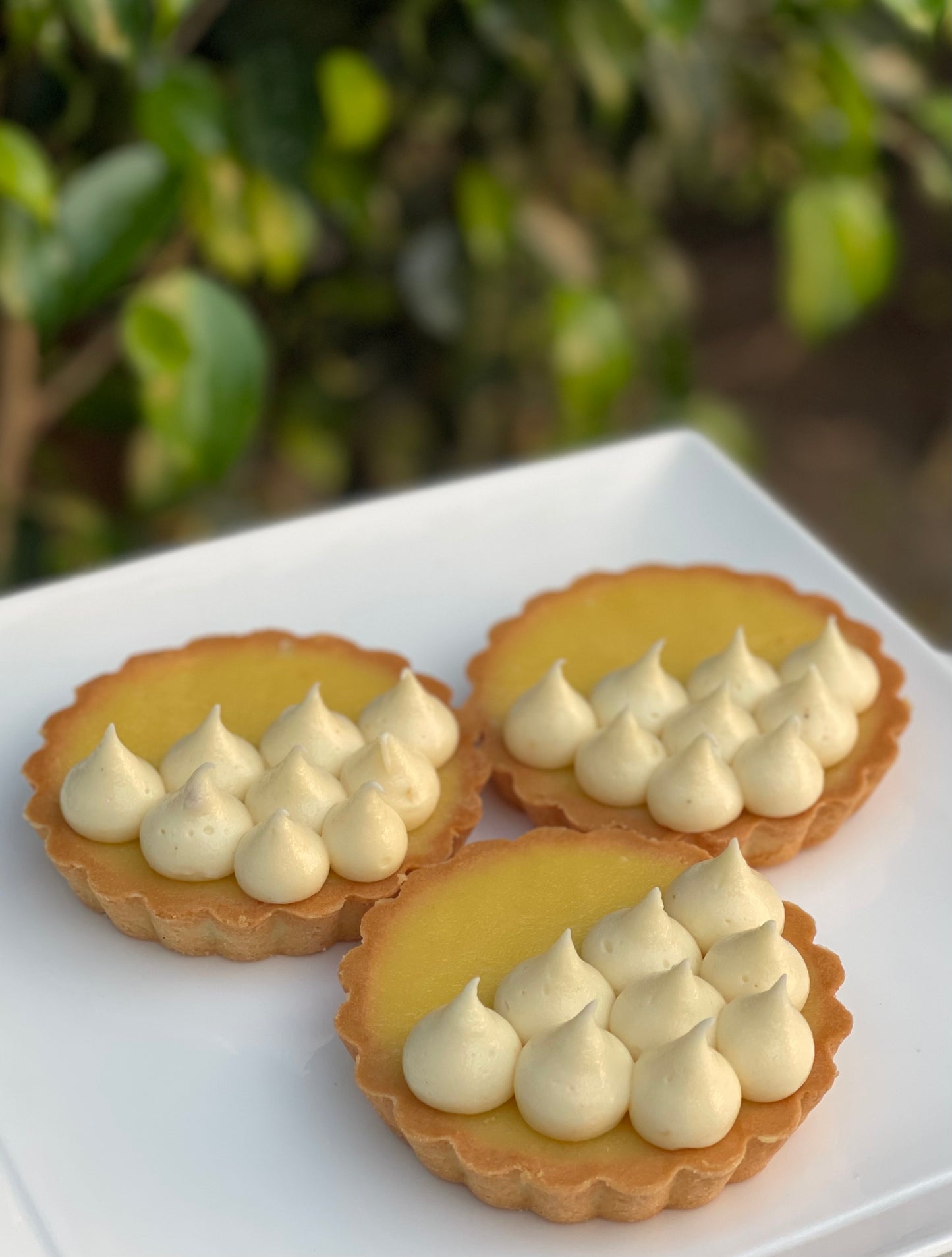 Lemon Tart (large)