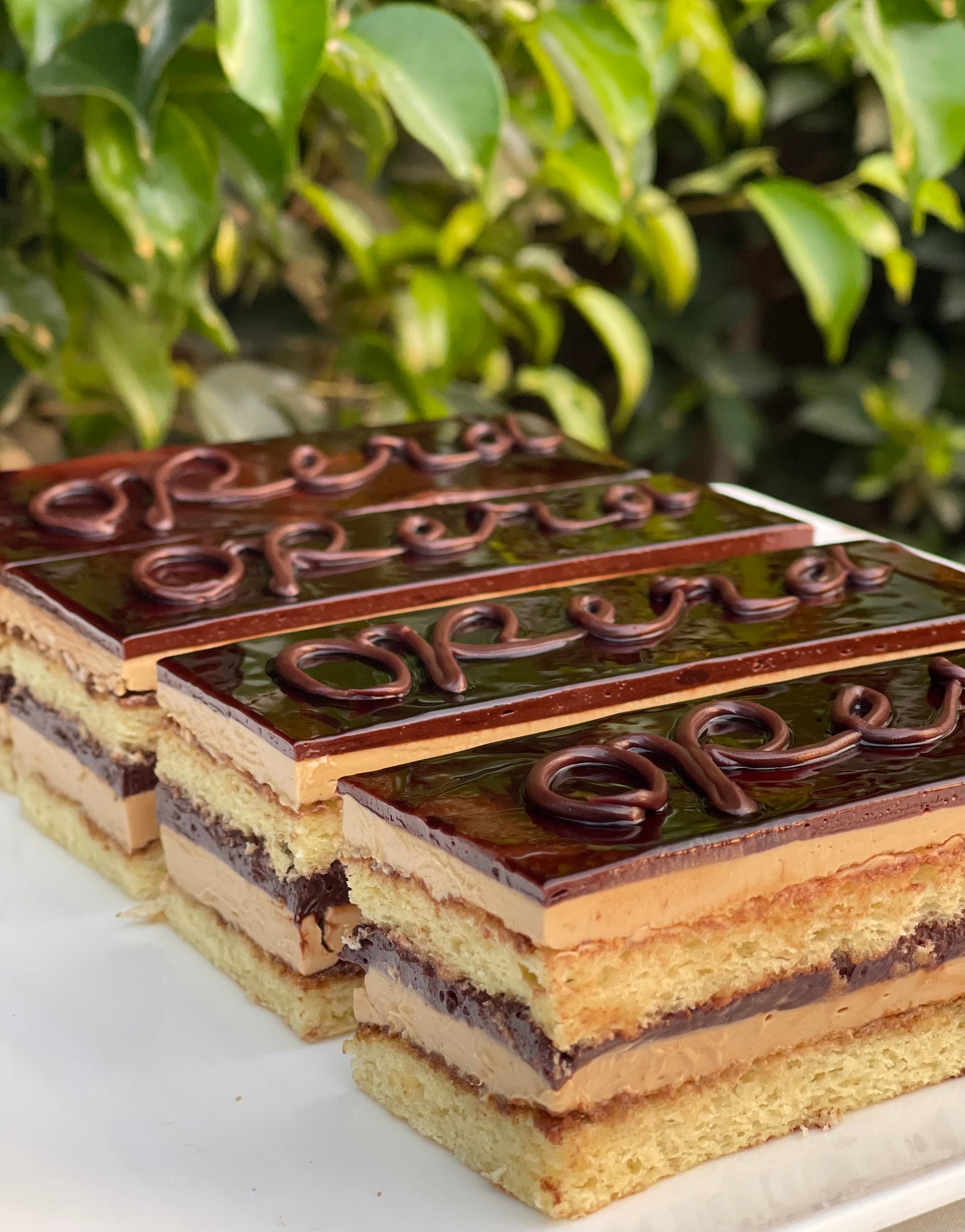 Opera Pastry (Coffee)